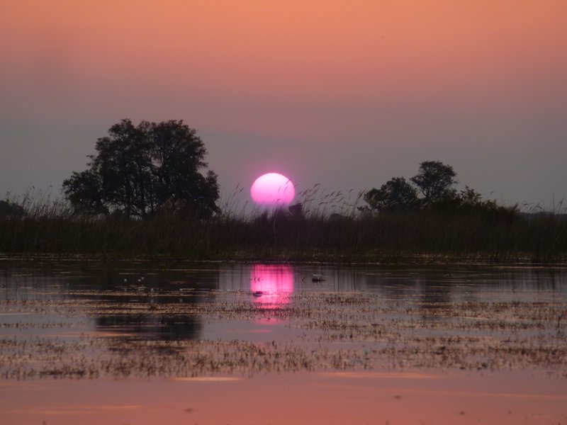 Sunset In The Delta Shot From The Mokoro