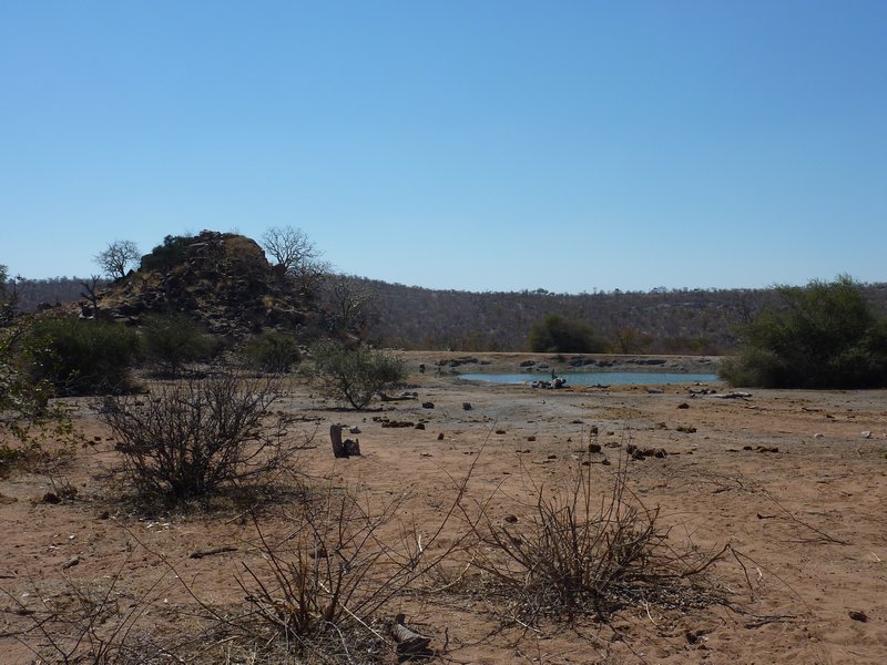 A watering hole in the Tuli Block