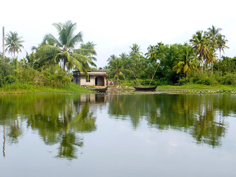 A hut in the Kerala Backwaters