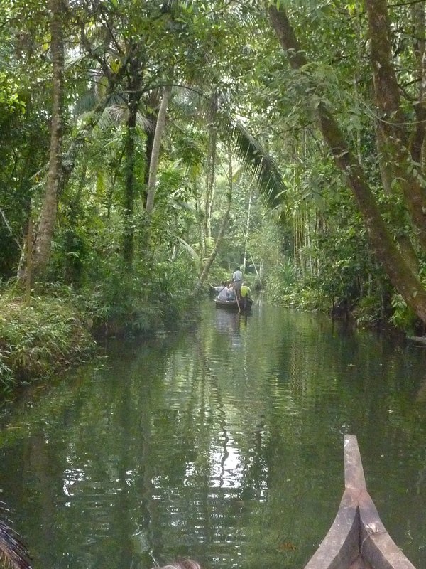 Deeper into the Backwaters