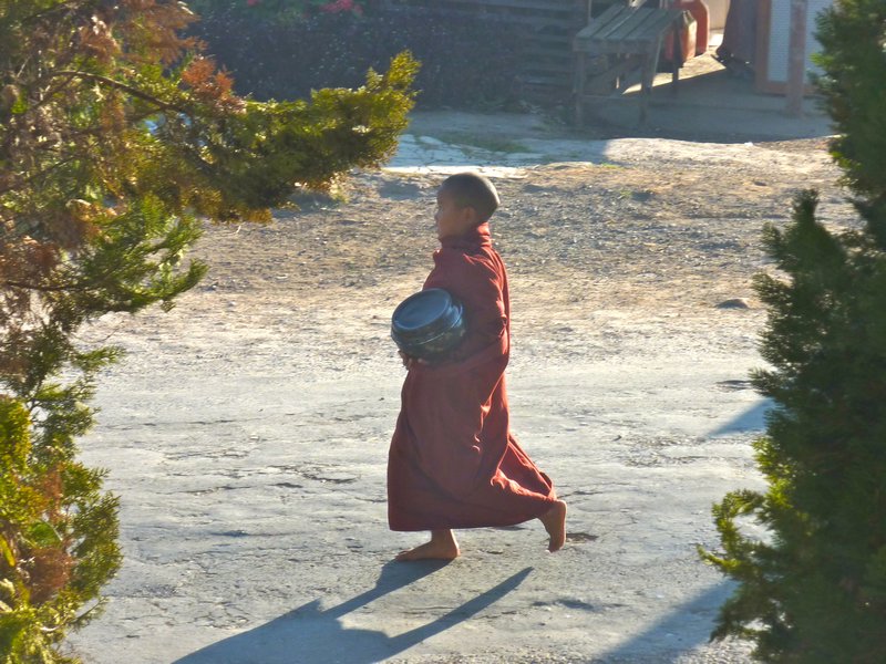 Young Monk collecting alms