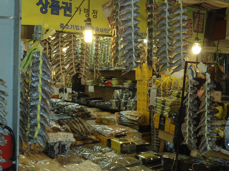 Decorative Fish - Seoul