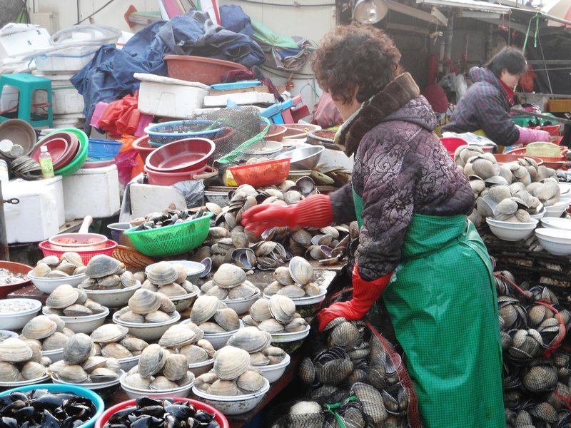 Shellfish Stall - Busan Outdoor Fish Market