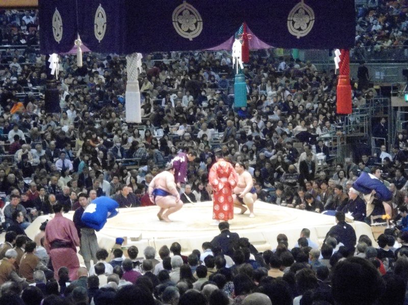 Our first Sumo Bout
