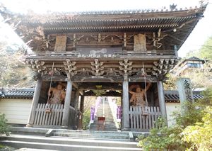 Entrance to Daisho-im Temple