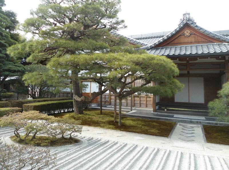 Another Zen garden