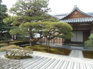 Another Zen garden