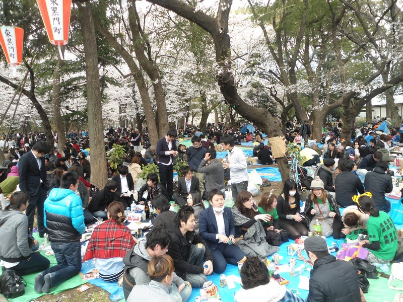 Saturday Picnics at Ueno Park