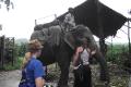 Elephant ride time!