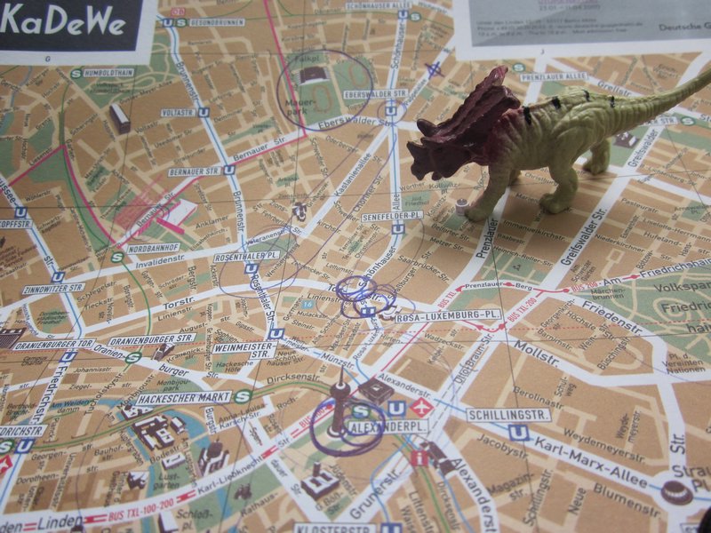 Torosaurus and Berlin
