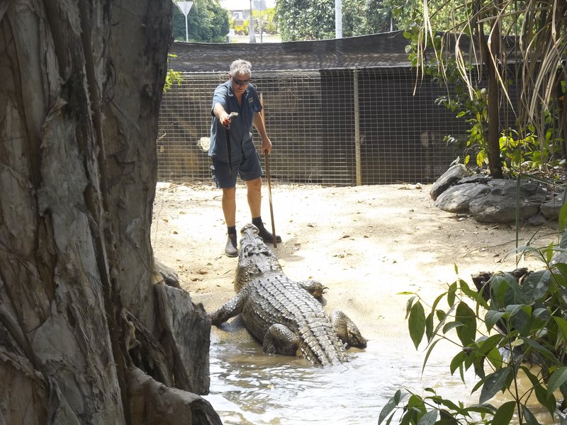 Crazy Bruce and the huge Croc