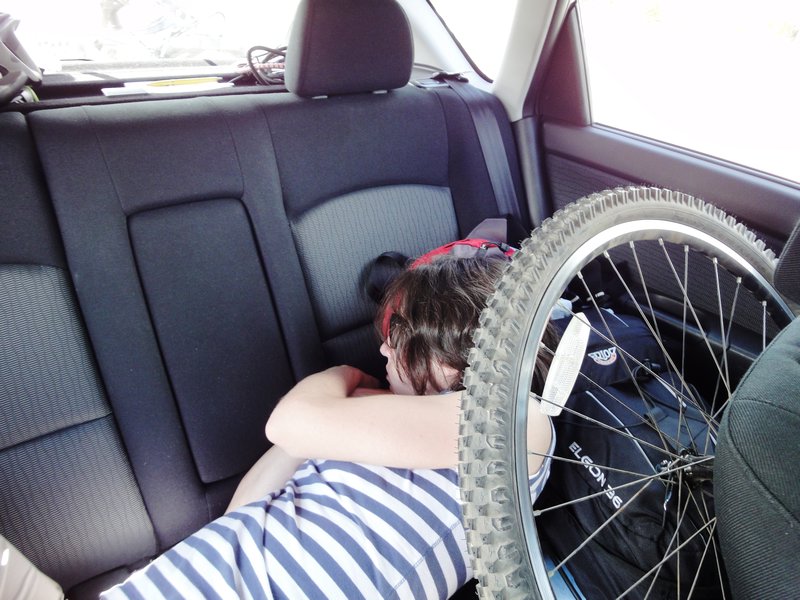 Poli durmiendo en el auto