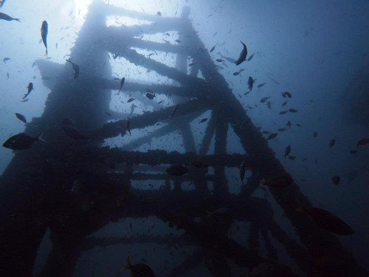 Wreck diving - HMAS Adelaide