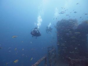Wreck diving - HMAS Adelaide