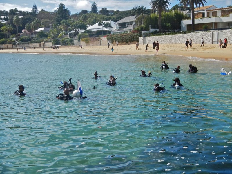 Open Water course at Camp Cove