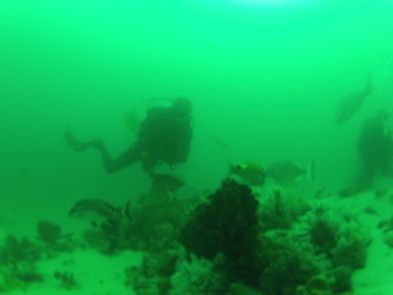 Diving in Halifax, New Castle