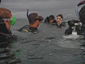 Open Water Course, Bare Island