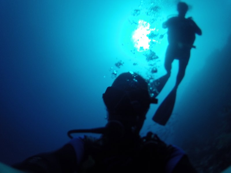 Diving in Great Barrier Reef