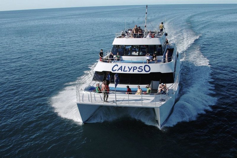 Calypso (Transportation to the office)