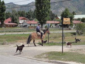 Gaucho