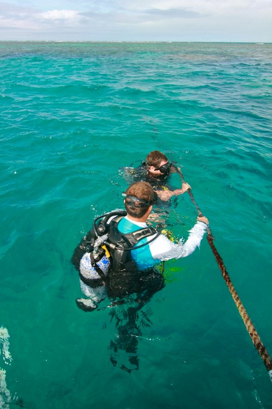 Beginning the dive with Nicolás