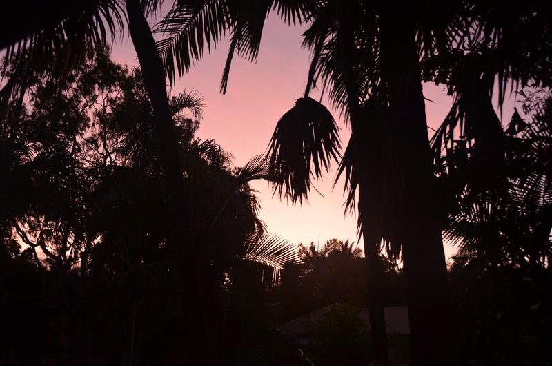 Sunset in Port Douglas