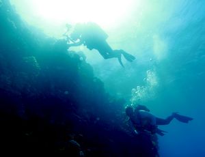 Diving in Split Bommie
