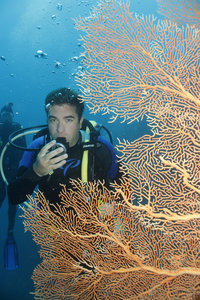 Diving Agincourt Reef