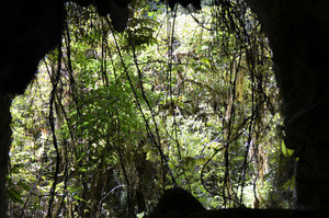 Raukuri Cave walk