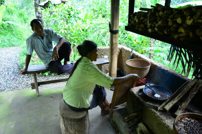 Roasting the Kopi Luwak