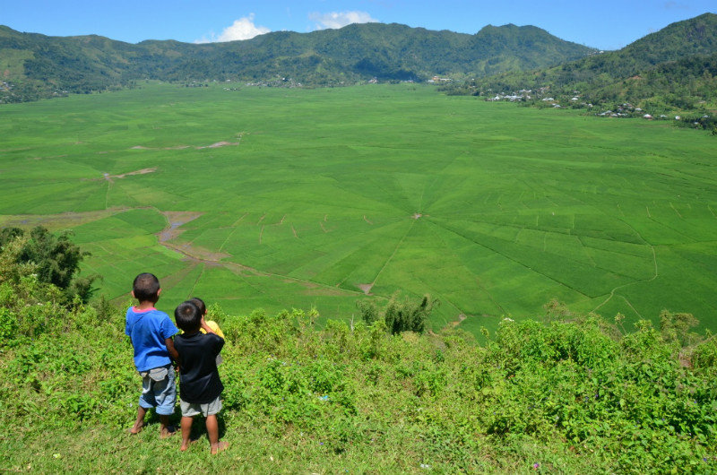 Kids overlooking spiderweb ricefields