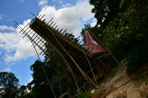Building a Tongkonan
