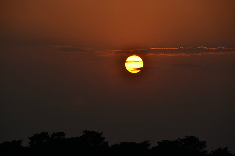 Sunset in Sauraha