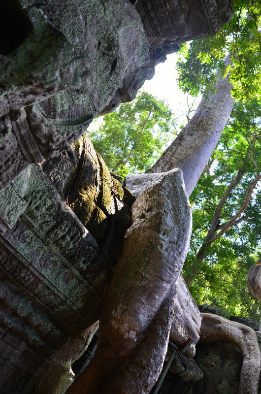 46.- Angkor Tour Day 1