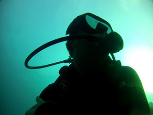 Diving @ 2 Mile Reef