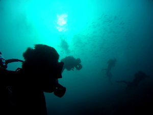 Diving @ 5 Mile Reef