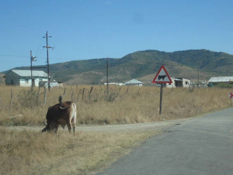 Driving through the Transkei