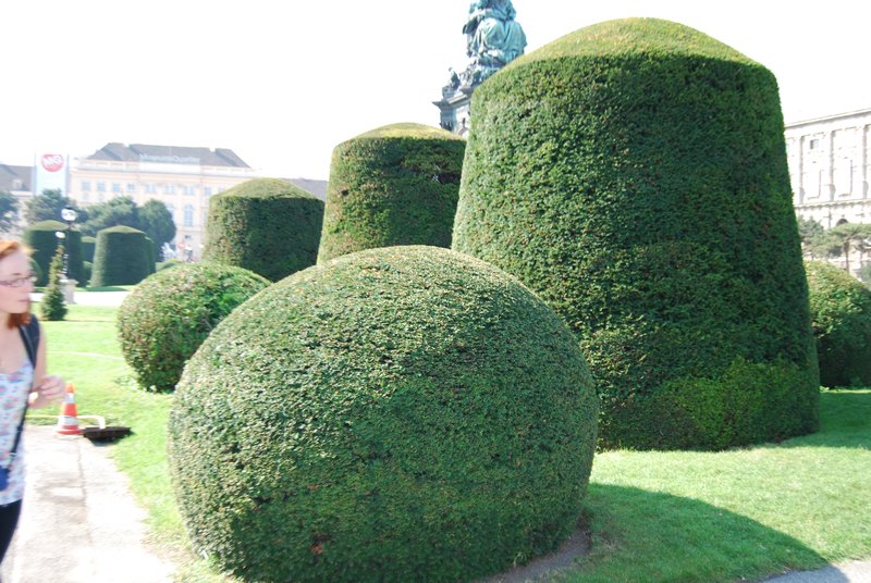 Awesome Hedges