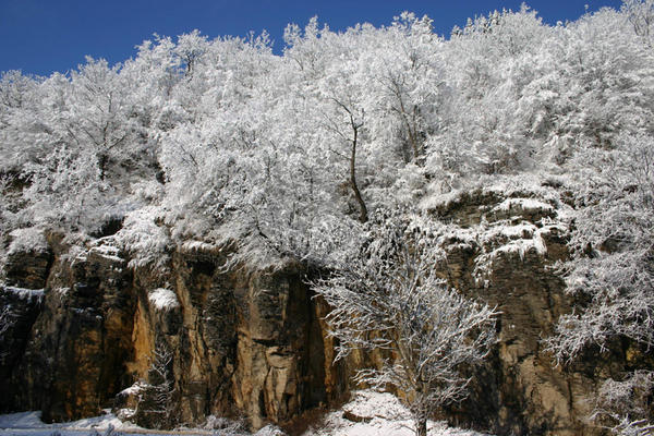Frost in Gorge