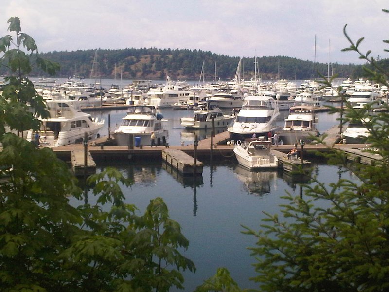 Spectacular view of Roche Harbor