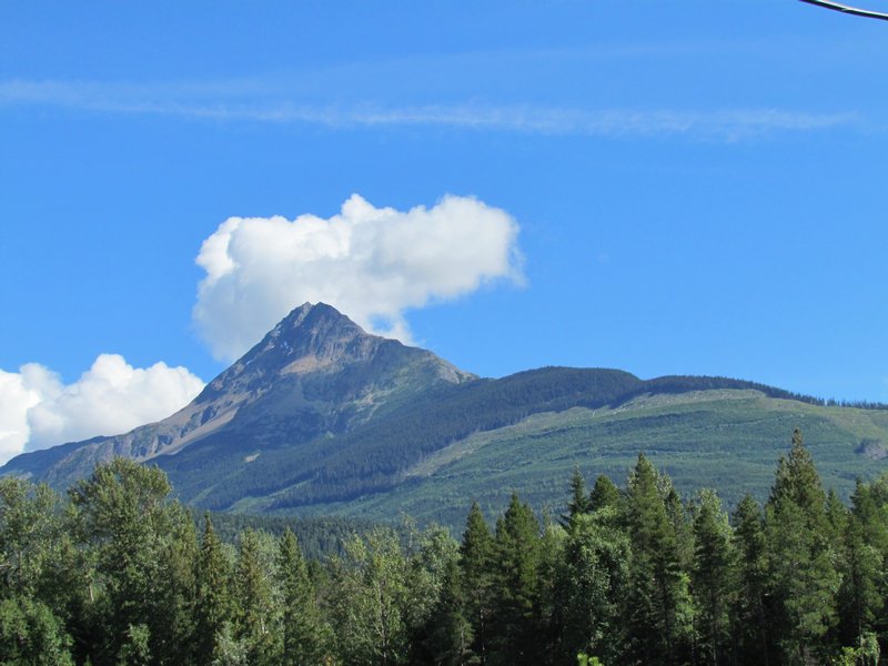 A View Showing  The Effects Of Logging