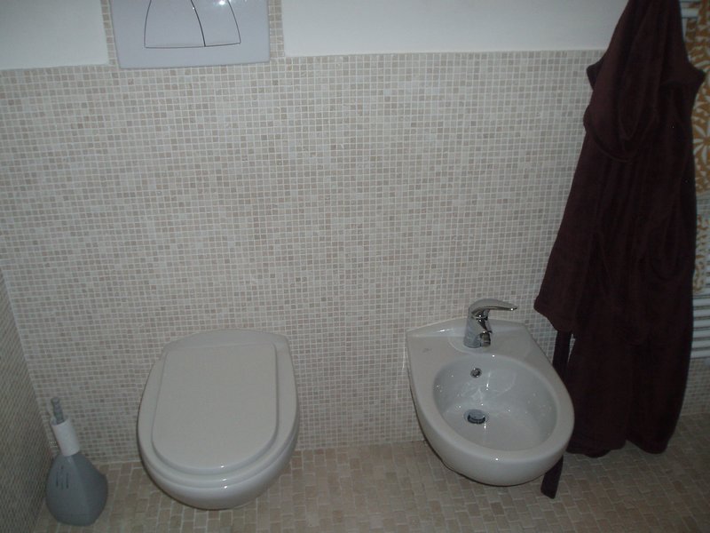 Toilet or Bidet?