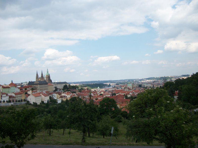 View from the hill