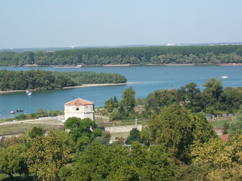 Sava and Danube
