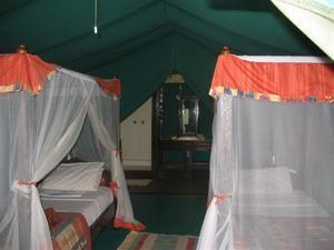 Tent 42