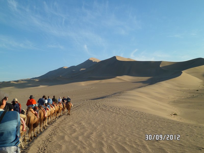 The camel trek through the desert