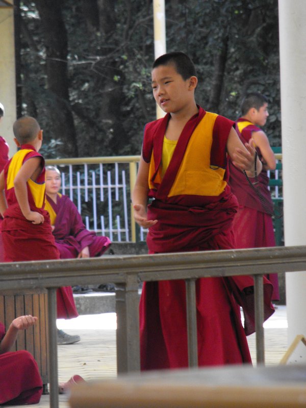 Novice Tibetan Buddhist Monk