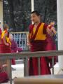 Novice Tibetan Buddhist Monk