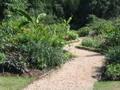 Garden path 2