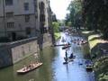 More punting pics